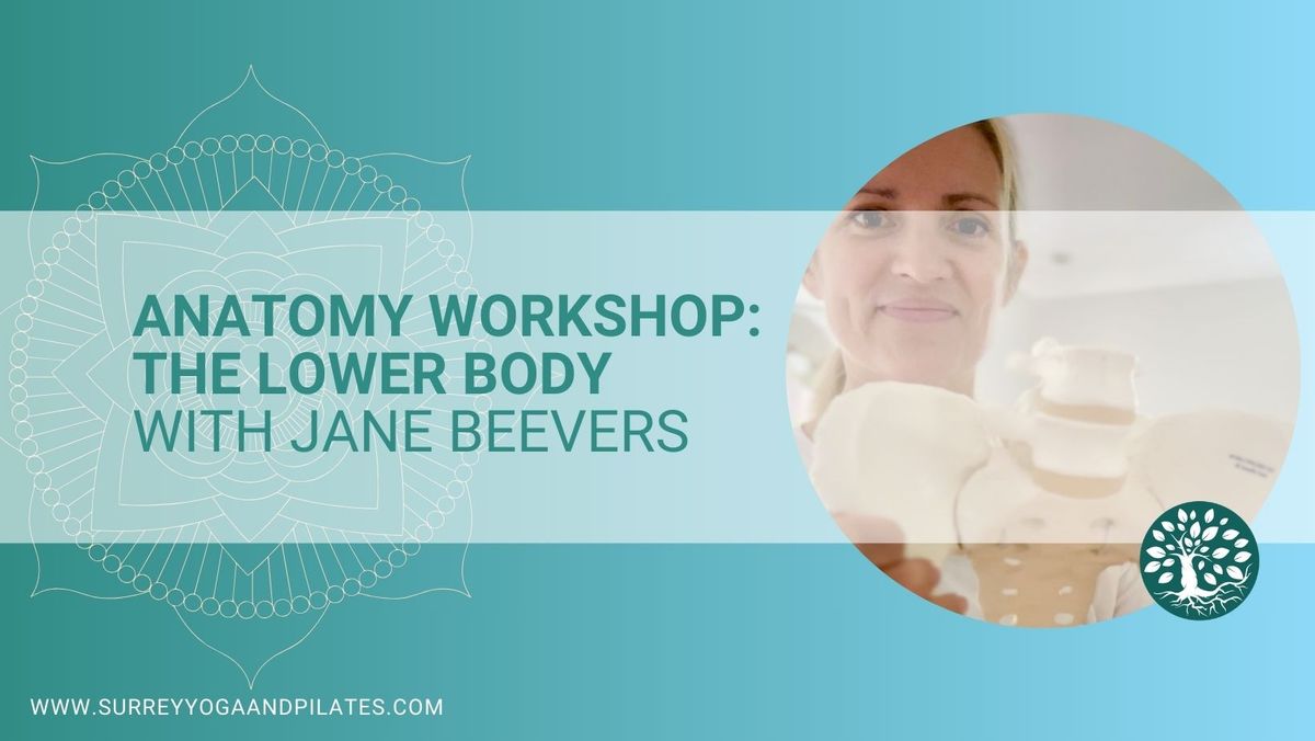 Anatomy of the Lower Body - a Workshop with Jane Beevers