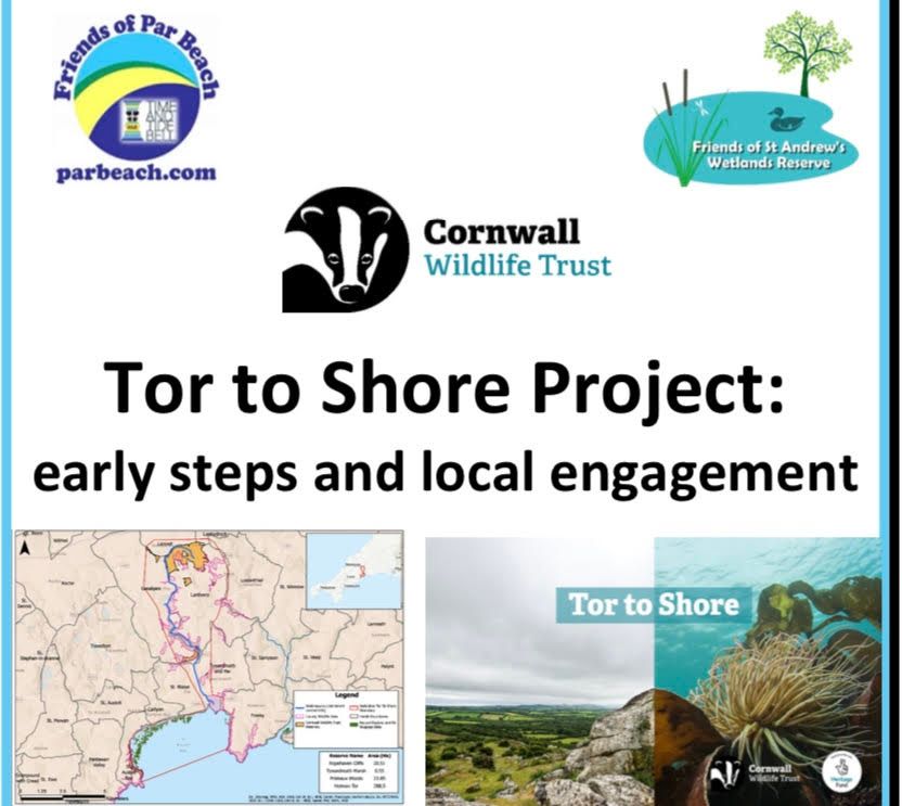 Winter talk: Cornwall Wildlife Trust's Tor to Shore Project