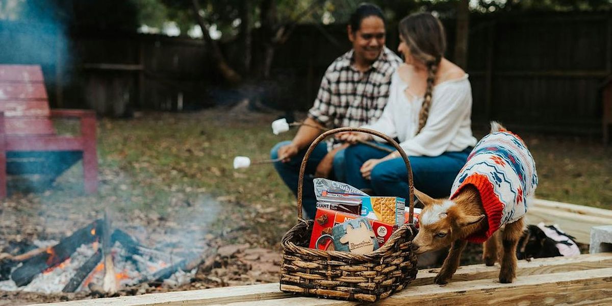 Roasting Marshmallows with Goats in Sweaters