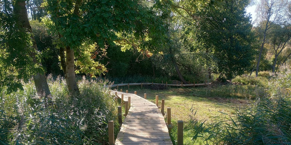 OAS Members Walk & Sketch - Hinksey Heights Nature Trail