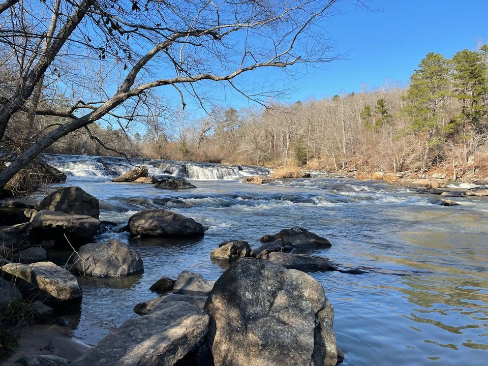 Paddle the Alcovy River