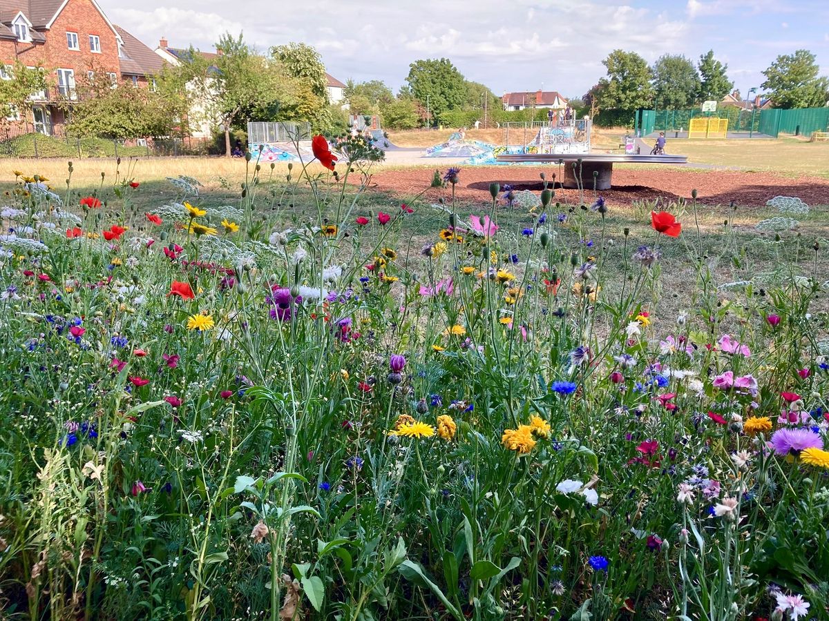 Talk to FTC about Victoria Park and the Mary Baily field