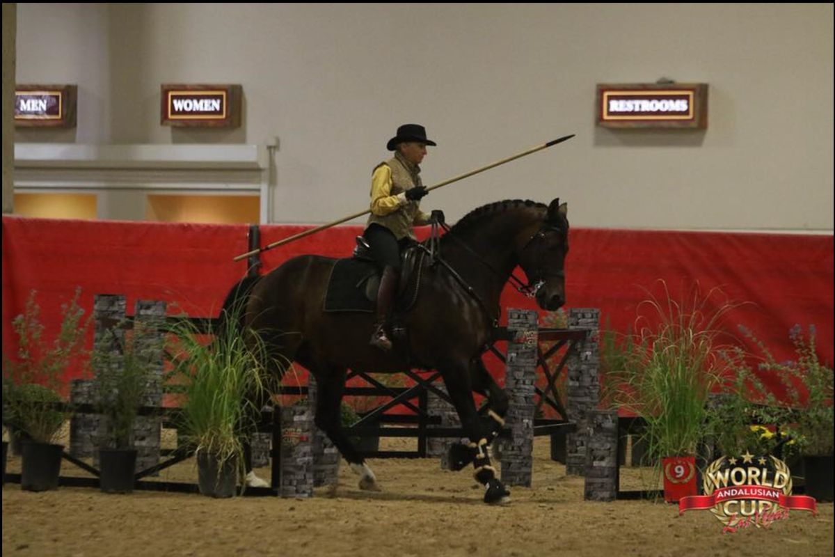 Private Dressage and WE Lessons with Reta Conner at KarMik Acres