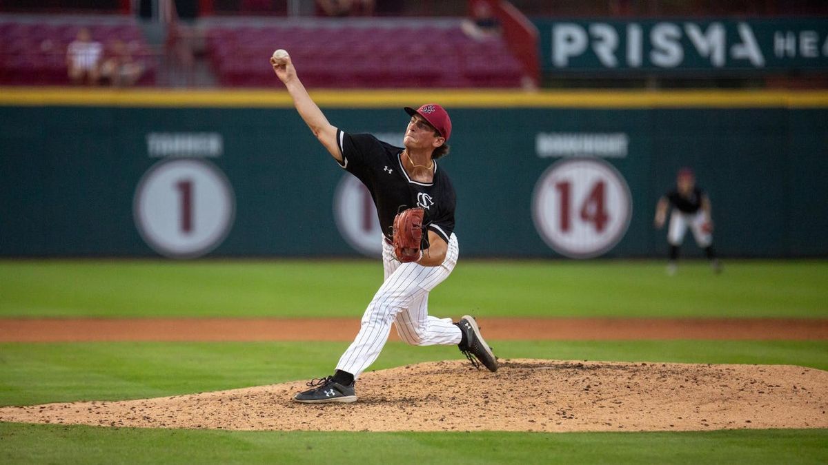 Gardner-Webb Runnin' Bulldogs at South Carolina Gamecocks Baseball