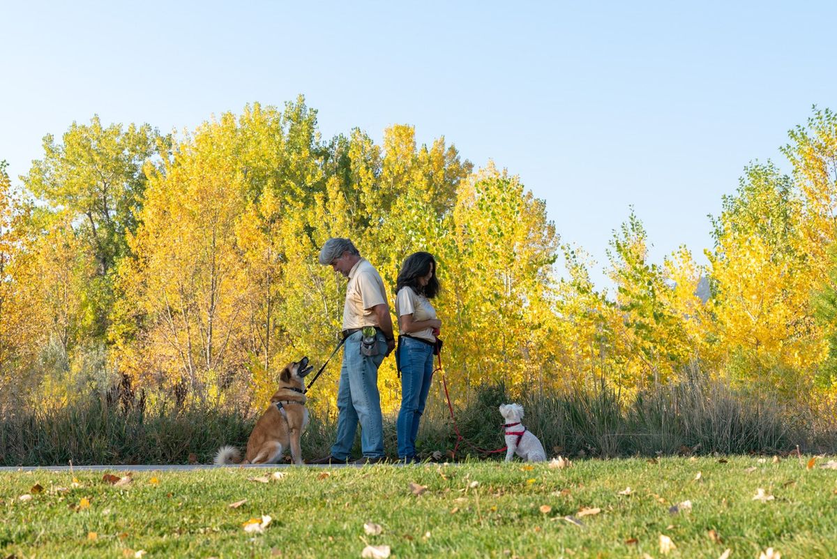 CANINE TRAINING- Beginners