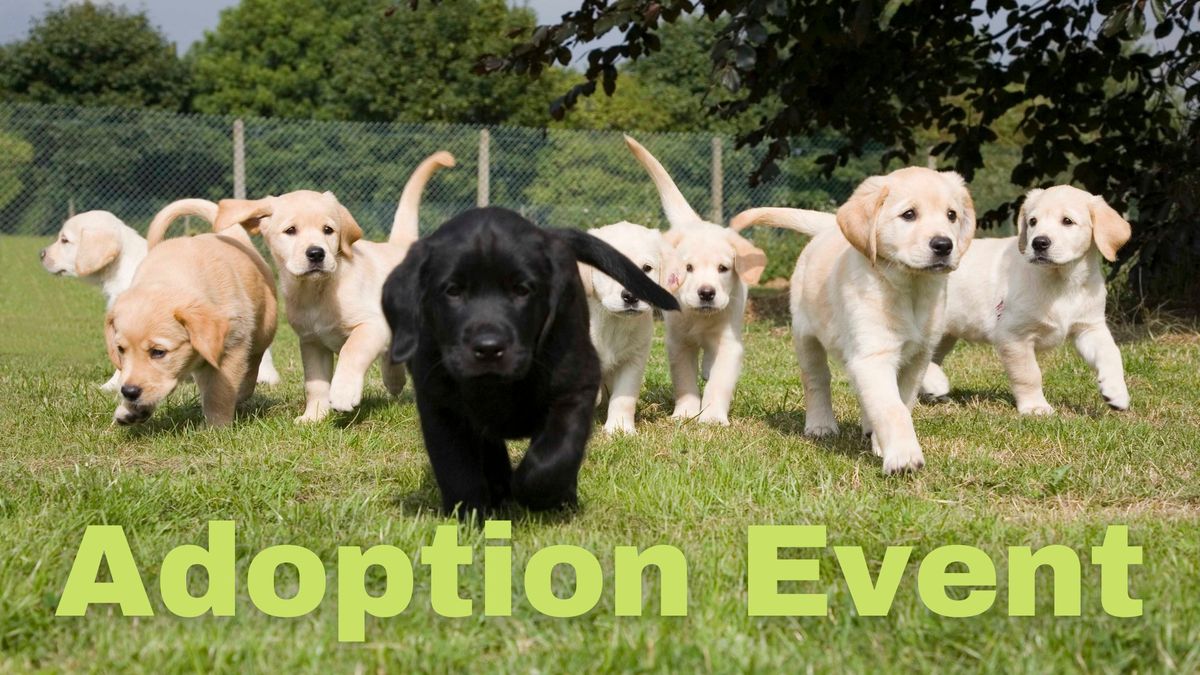 Blessing of the Animals: Adoption Event