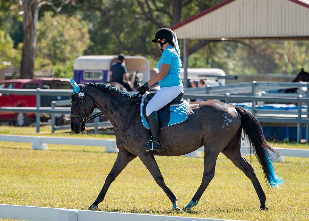 NDHD C & P Dollys Dream Charity Dressage Day 