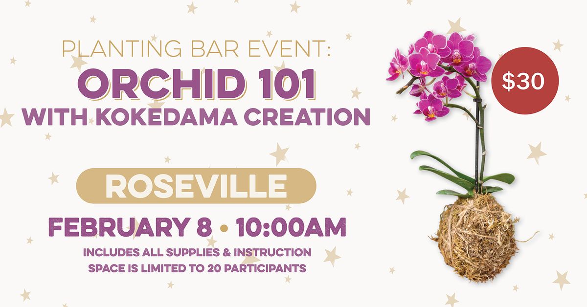 Orchid 101 with Kokedama Creation | Roseville Planting Bar