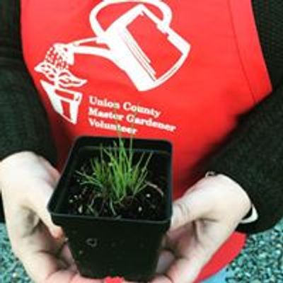 Union County Master Gardeners