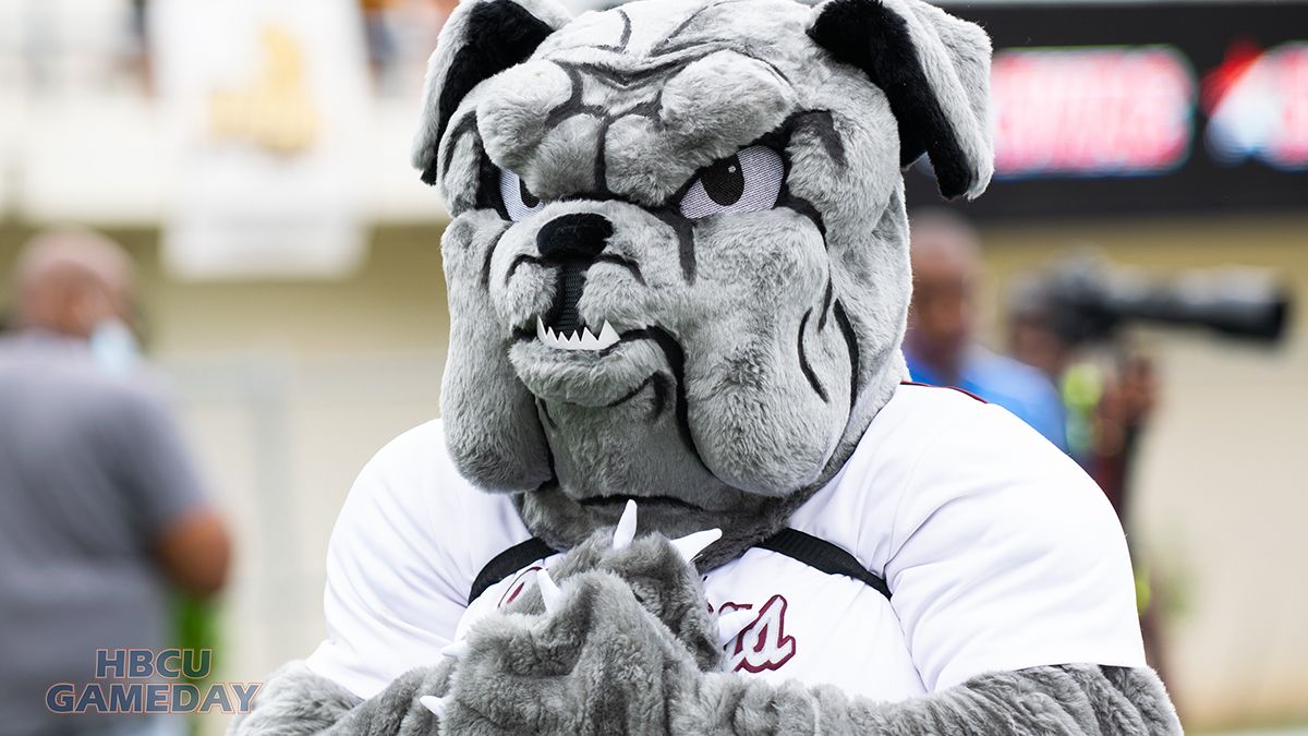 Fisk University Bulldogs at Alabama A&M Bulldogs Mens Basketball