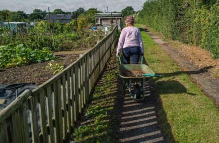 Women and the Leamington Allotment Project