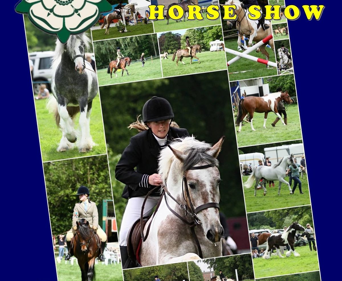 NORTHERN LIGHTS MASTERS SHOWING OPEN SHOW