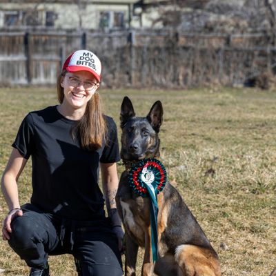 The Underdog Training