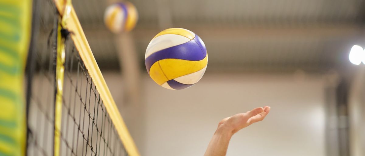 North Carolina State Wolfpack at California Golden Bears Womens Volleyball