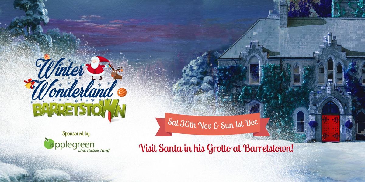 Christmas Winter Wonderland at Barretstown!