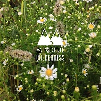 Mindful Wilderness