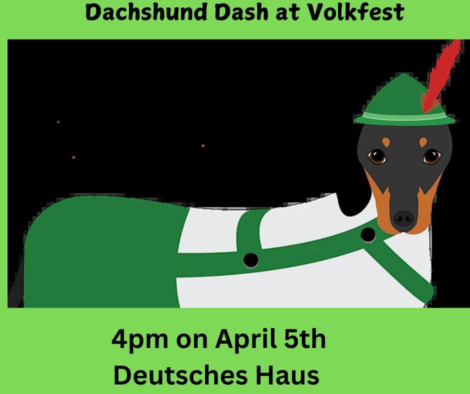 Dachshund Dash at Volkfest