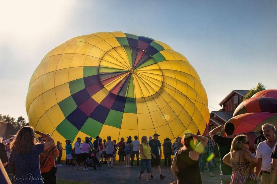 Birmingham Hot Air Balloon Fest