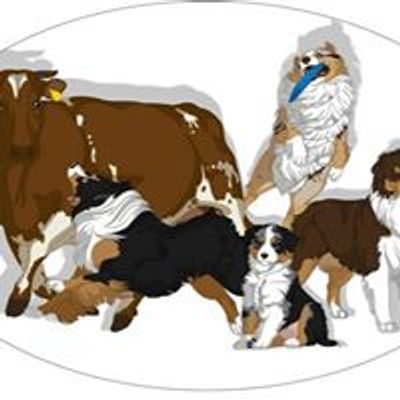 Australian Shepherd Club Nederland ASCN