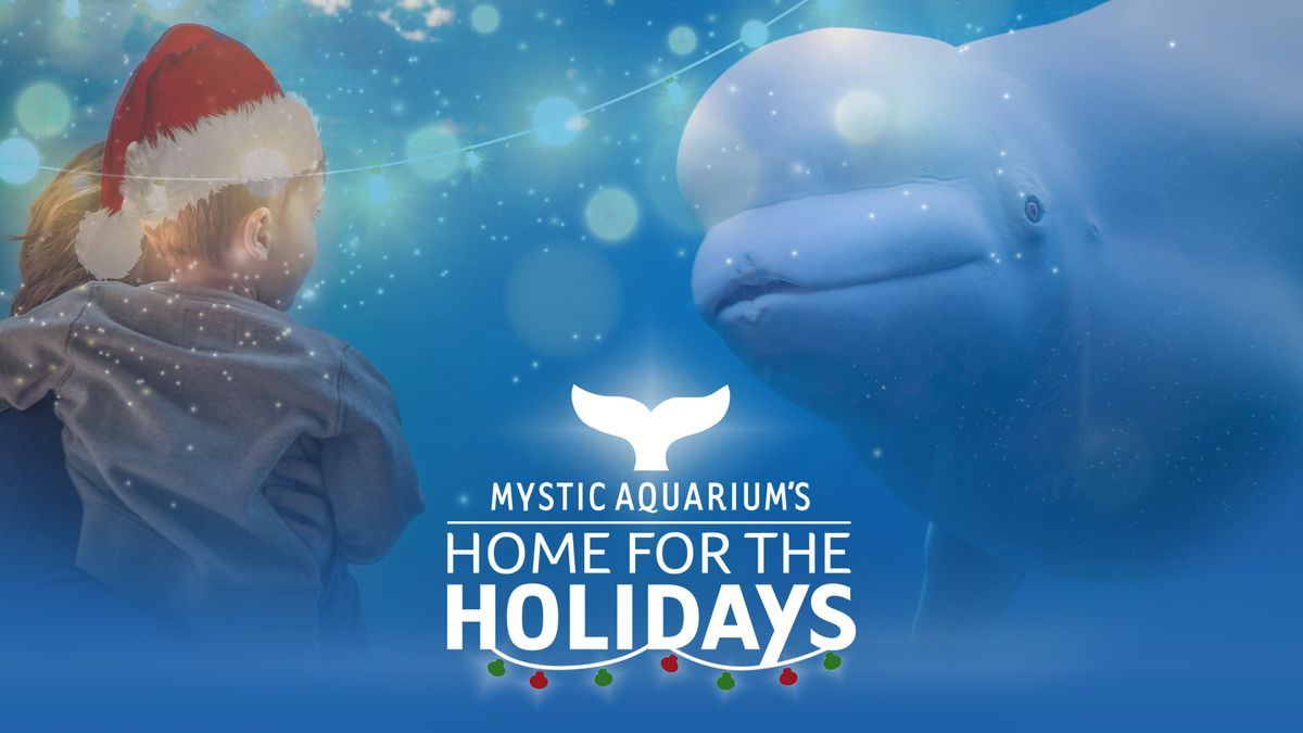 Home For The Holidays at Mystic Aquarium