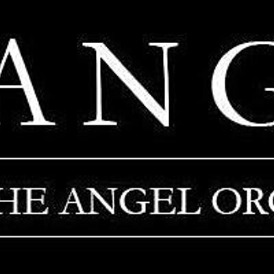 The Angel Organisation