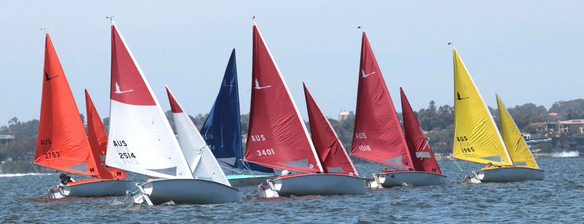 Start Sailing 1 course, for people with disabilities with support!