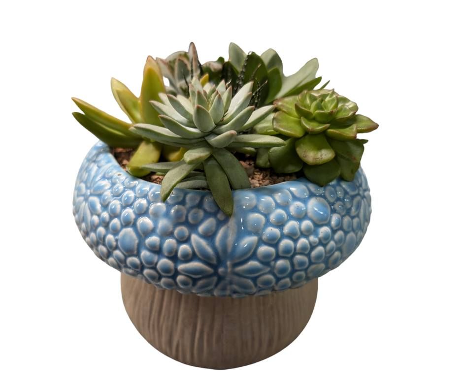 Mushroom Succulent Planter