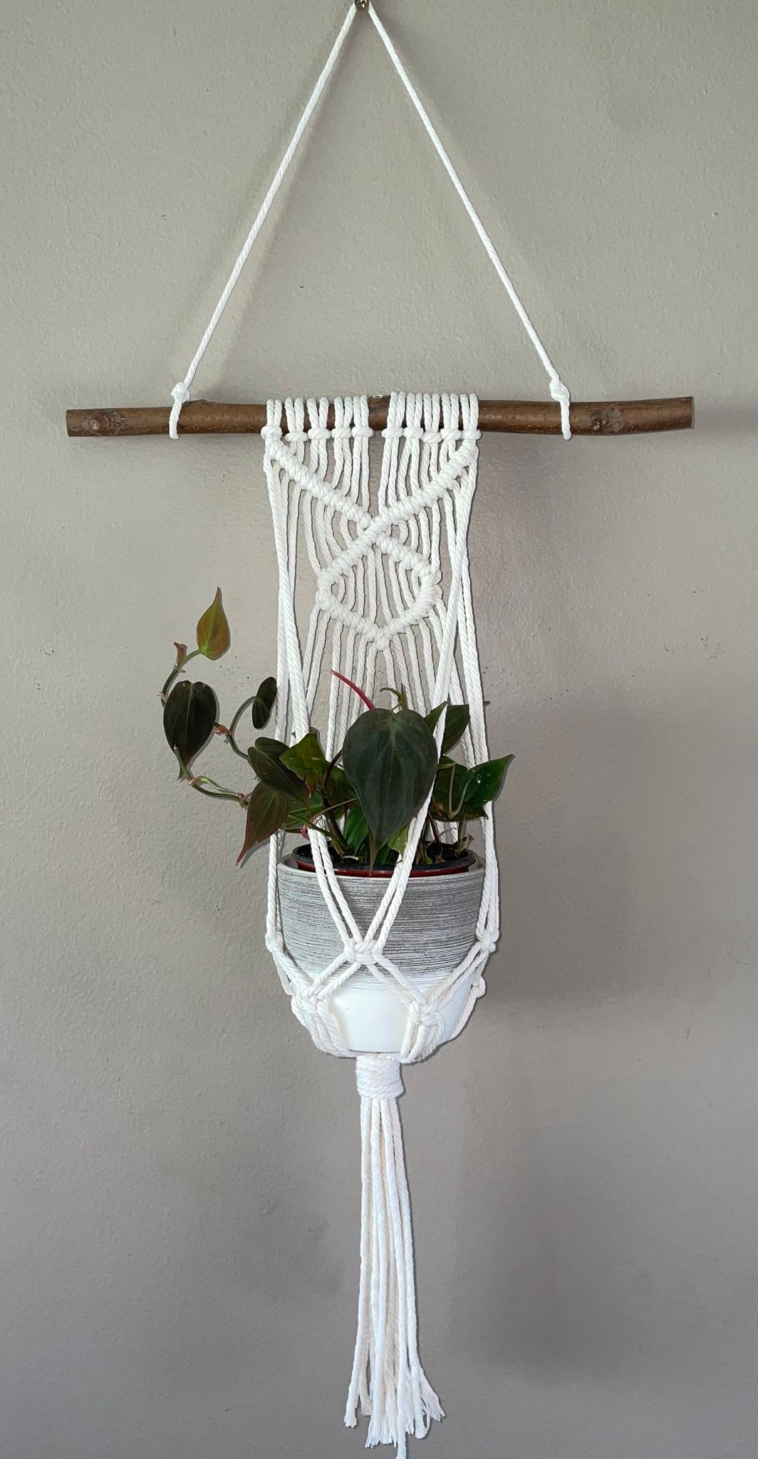 Macrame plant hanger and potted plant at Goldner Walsh 