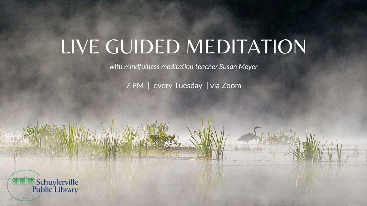 Live Guided Meditation 