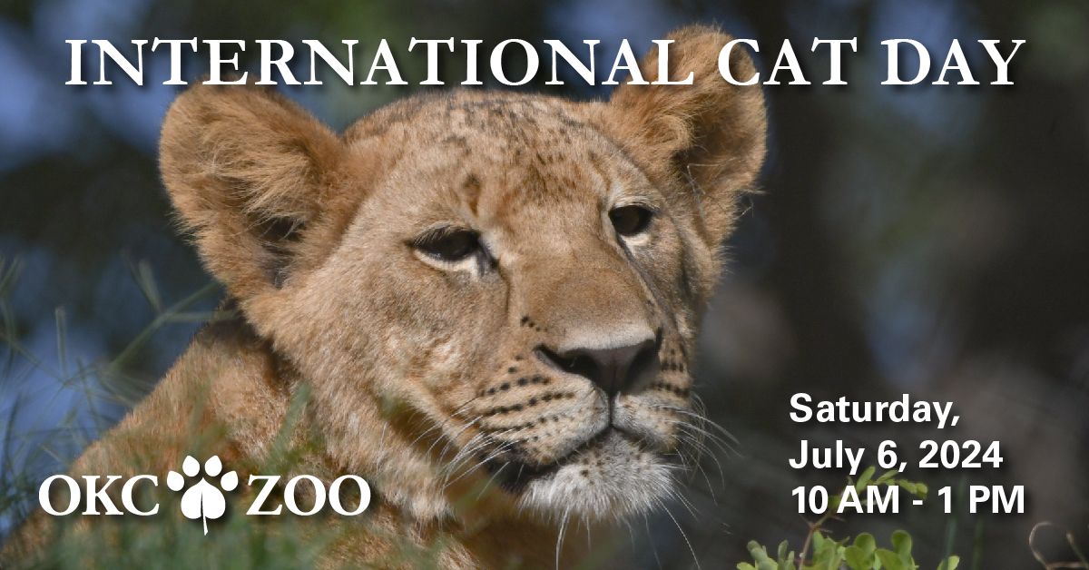 OKC Zoo hots Internacional Cat Day
