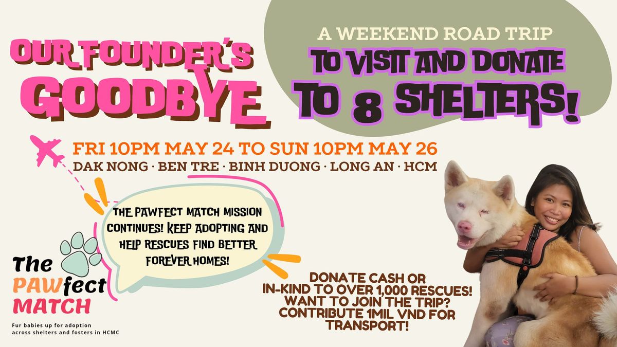 Love rescue dogs and cats? Join a weekend trip to 8 shelters in vietnam!