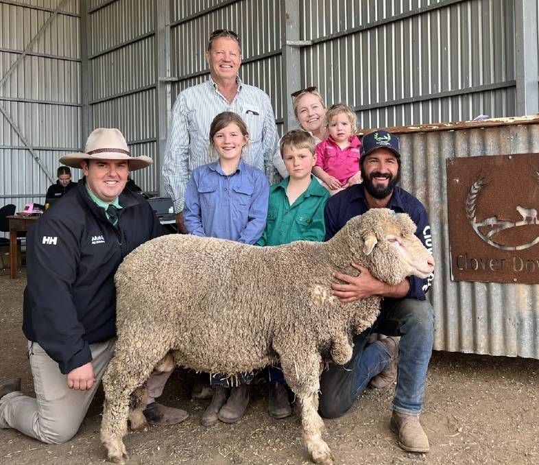 Clover Downs Dohne Ram Sale, Barabba, SA