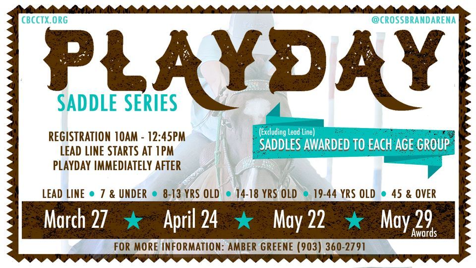 Playday Saddle Series