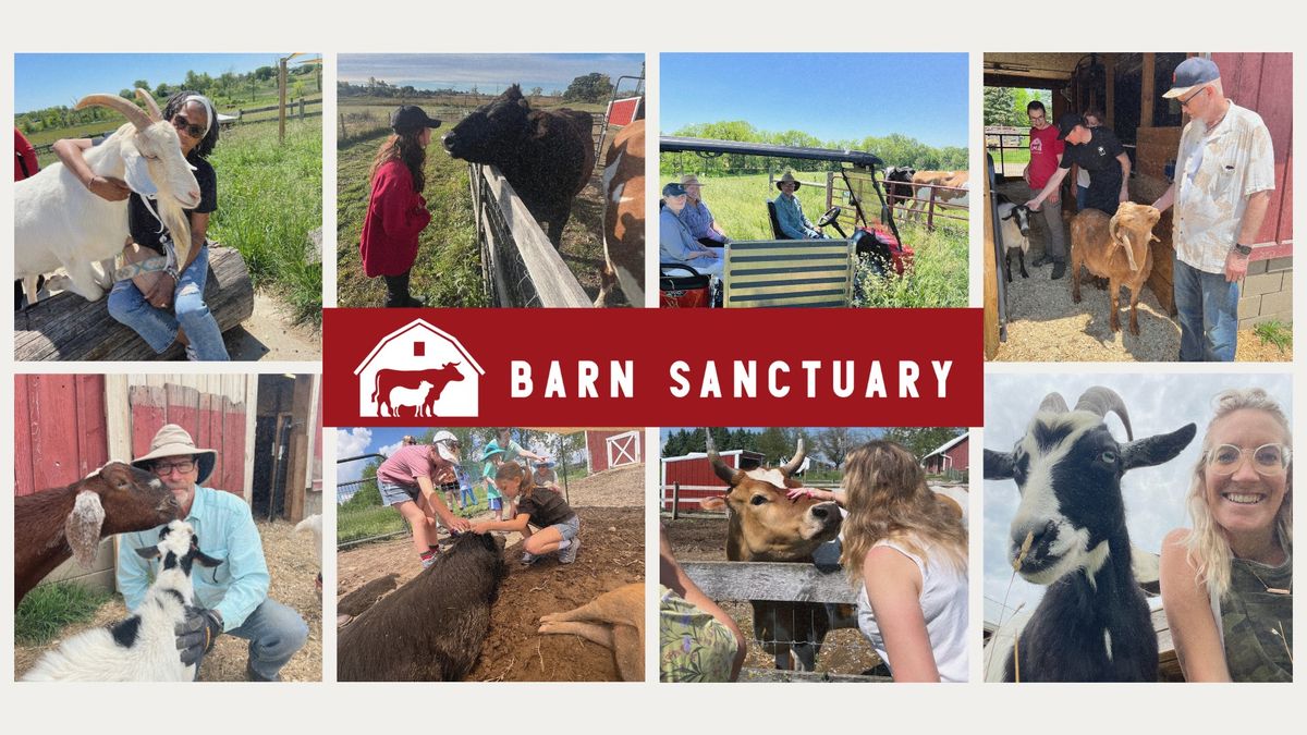 Public Tours on the Farm