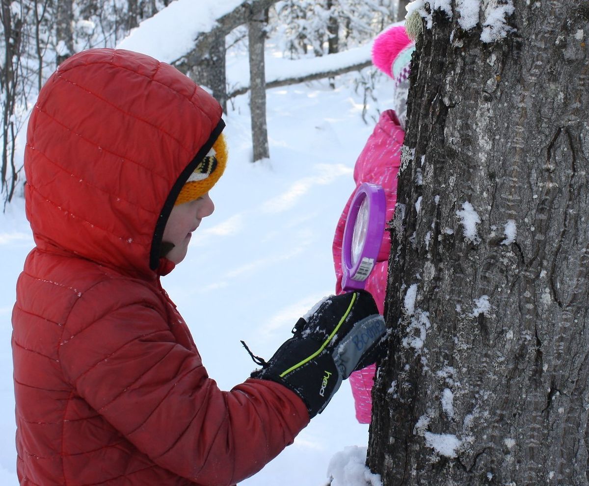 Time Outside Together (TOTs): Textures in Nature 