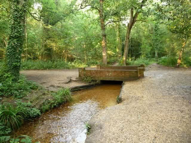 Delph Woods walk \ud83c\udf33