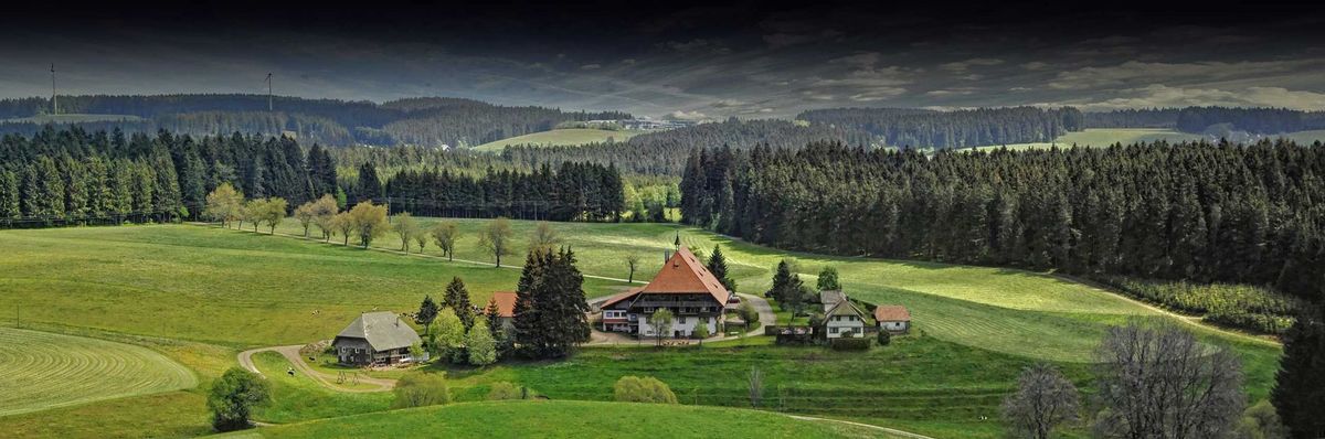 Black Forest