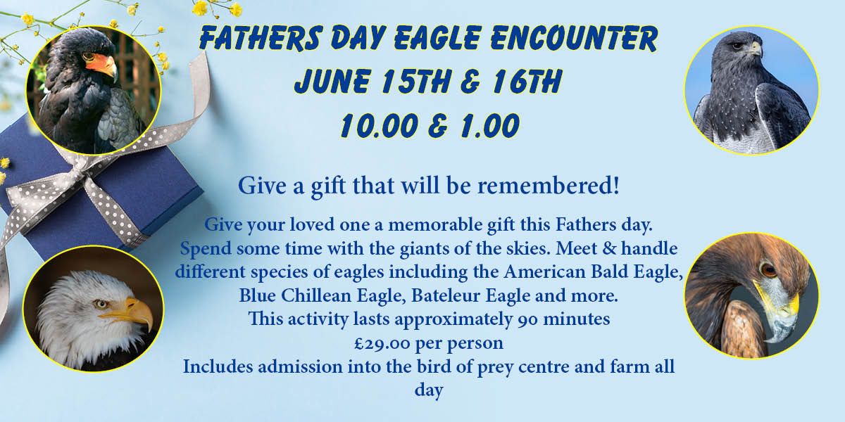 Fathers Day Eagle Encounter