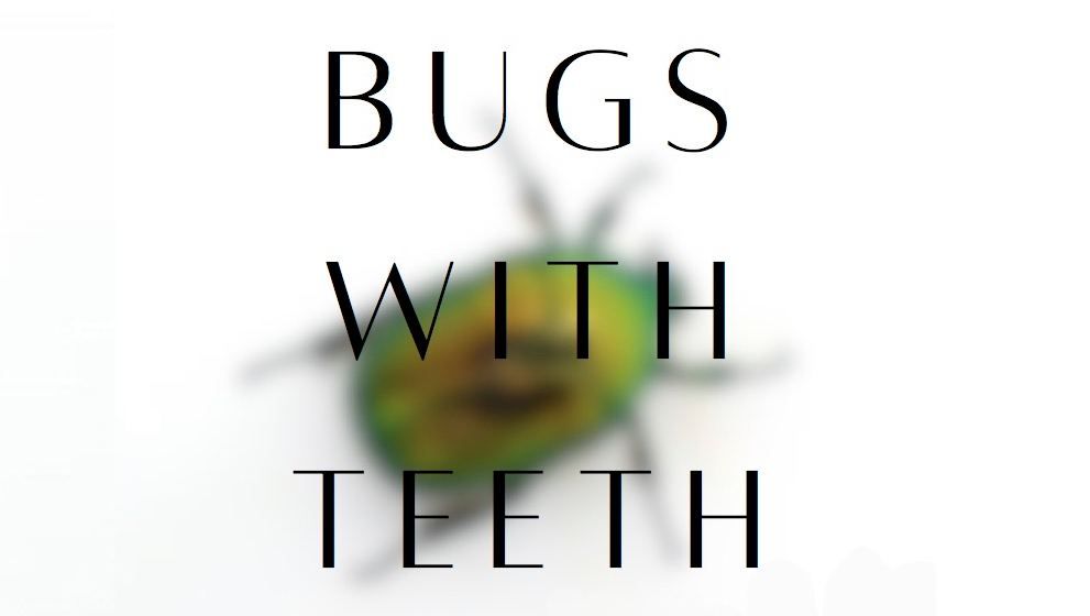 BUGS WITH TEETH \u2014 teaterstykke med Huld Gr\u00edmsd\u00f3ttir og Rachel Sophie Bentzen