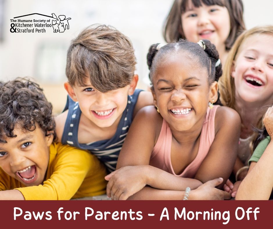 Paws for Parents - A Morning Off