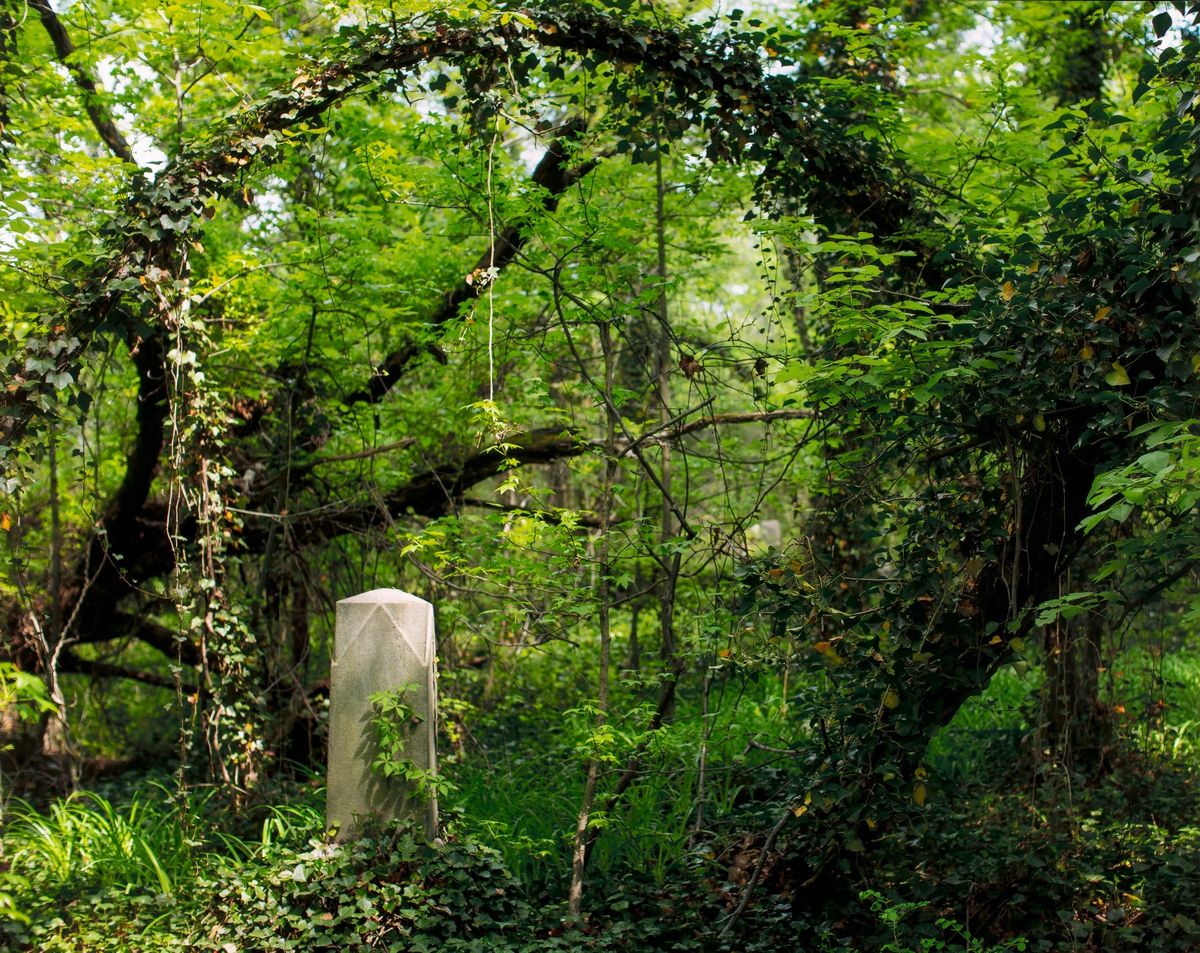 Conversation | Making the Ground Talk: Documenting Black Cemeteries with Brian Palmer