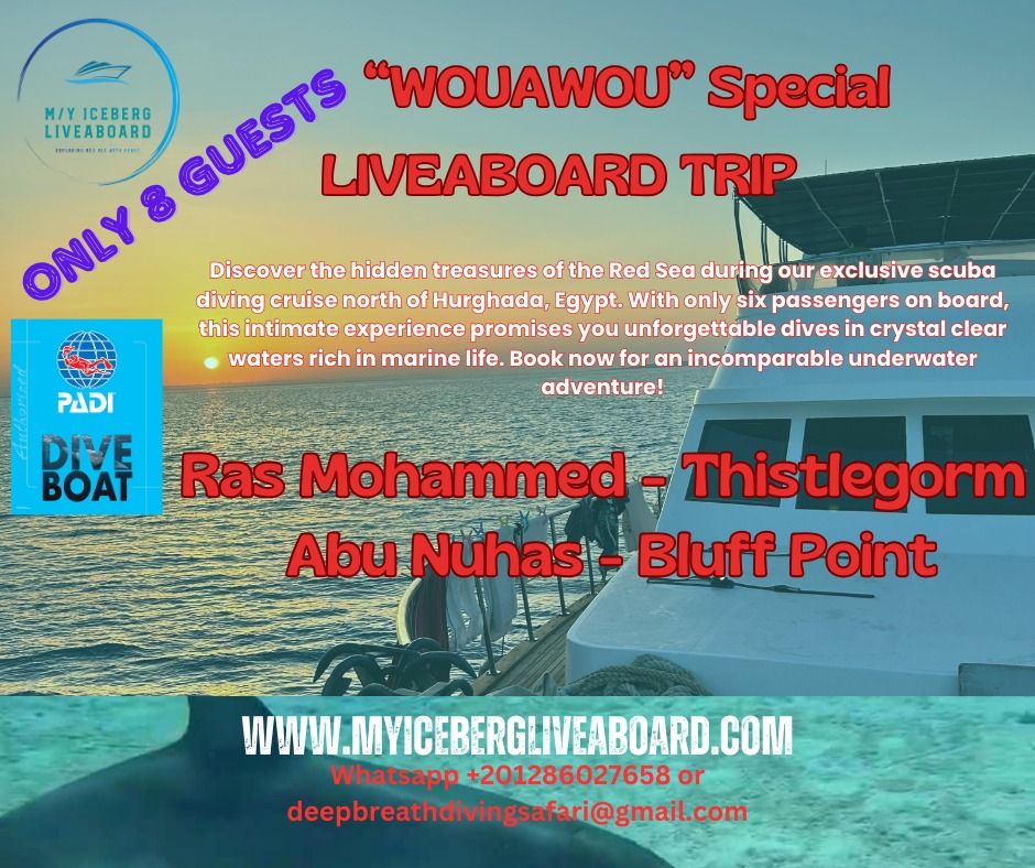 Ras Mohammed- Thistlegorm - Abu Nuhas - Bluff Point \/ The dream safari trip for wreck divers