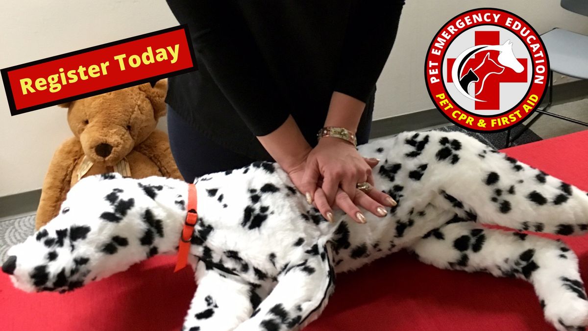 Pet CPR and First Aid Certification class and Fundraiser Eden Prairie, MN