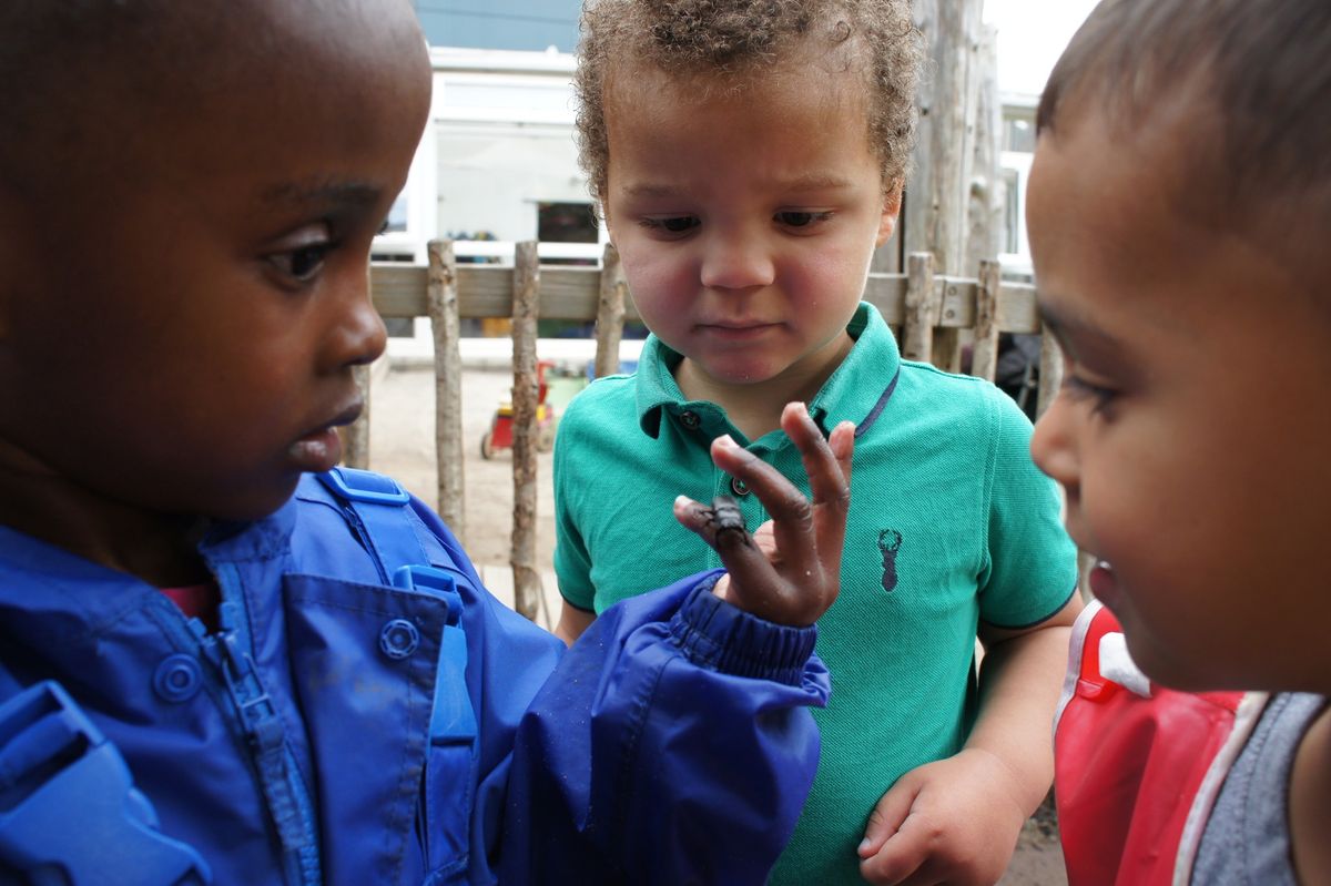 Exploring An Early Years Curriculum: Open Study Day At St Pauls Nursery