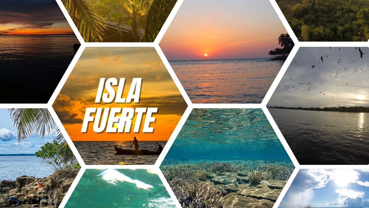 Isla Fuerte: Siembra de corales