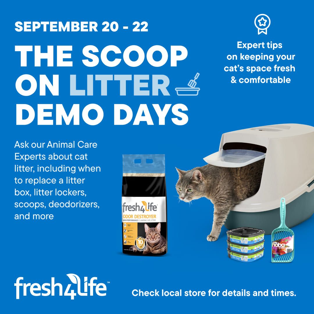 September DemoDays