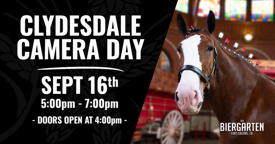 Clydesdale Camera Days