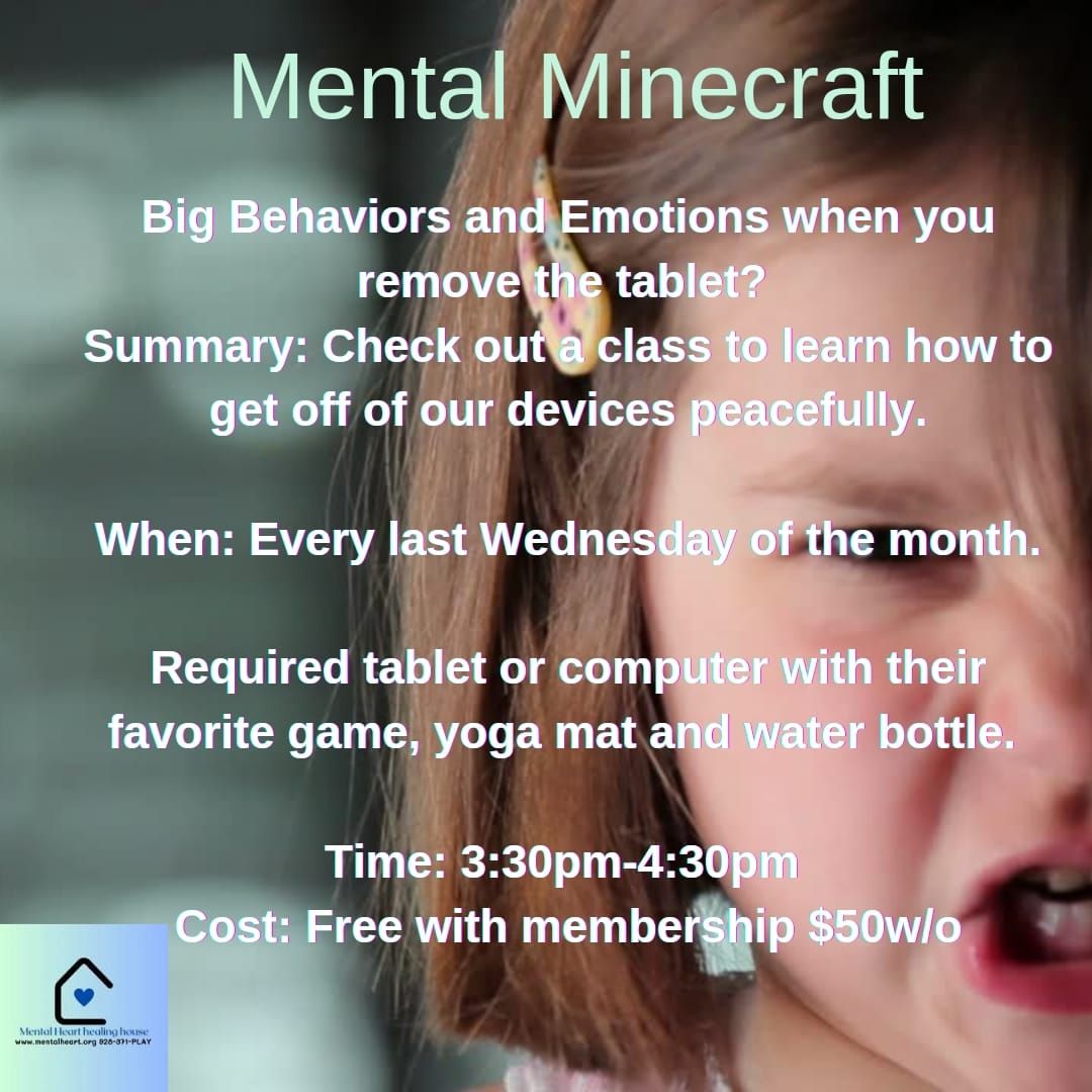 Mental Minecraft 