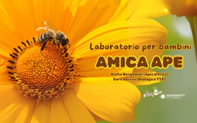 Laboratorio "Amica Ape"