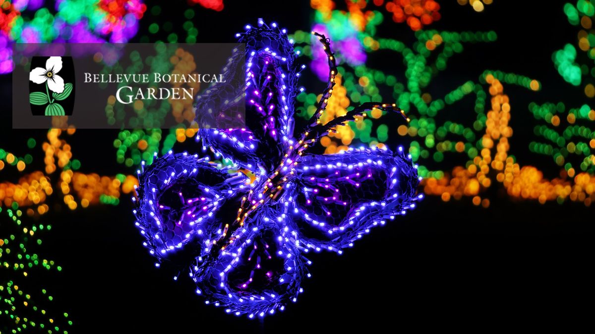 ah tempo Flute Choir at the Garden d'Lights